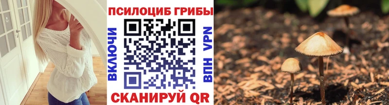 блэк спрут ссылка  Белебей  Галлюциногенные грибы Psilocybe 